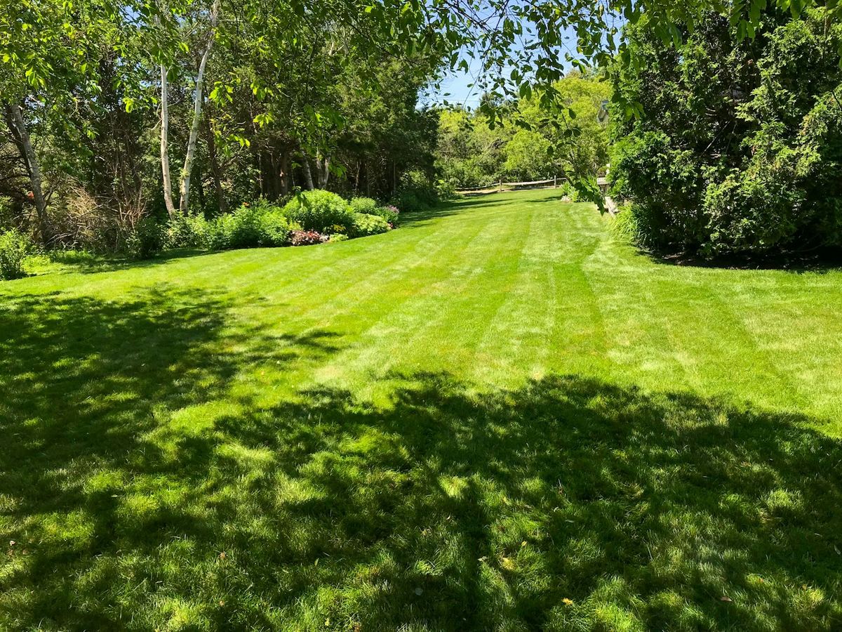 A neat green lawn